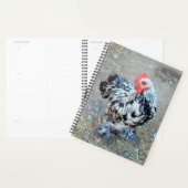 Gemotteld Bantam Cochin Chicken Planner (Display)