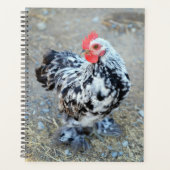 Gemotteld Bantam Cochin Chicken Planner (Voorkant)