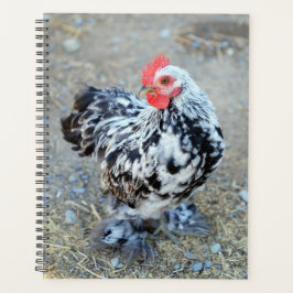 Gemotteld Bantam Cochin Chicken Planner
