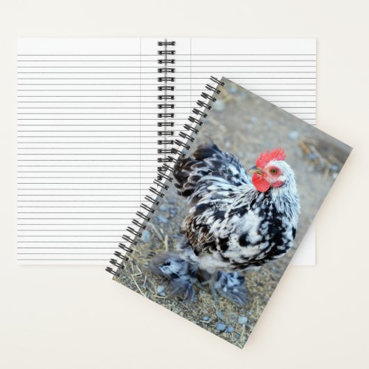 Gemottled Bantam Cochin Chicken Journal-Notitieboe Notitieboek (Binnen)