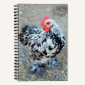 Gemottled Bantam Cochin Chicken Journal-Notitieboe Notitieboek (Voorkant)