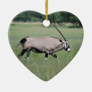 Gemsbok antelope keramisch ornament