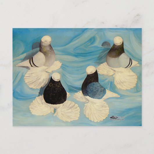 Gemufferde tumblers Vier Briefkaart (Voorkant)