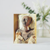 Gemummificeerd lichaam van Ramesses II gevonden in Briefkaart (Staand voorkant)