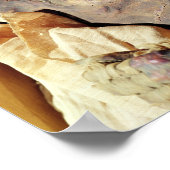 Gemummificeerd lichaam van Ramesses II gevonden in Poster (Hoek)