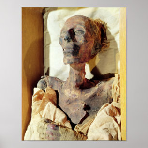Gemummificeerd lichaam van Ramesses II gevonden in Poster