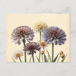 Gemutte Allium bloemen op oud papier Briefkaart