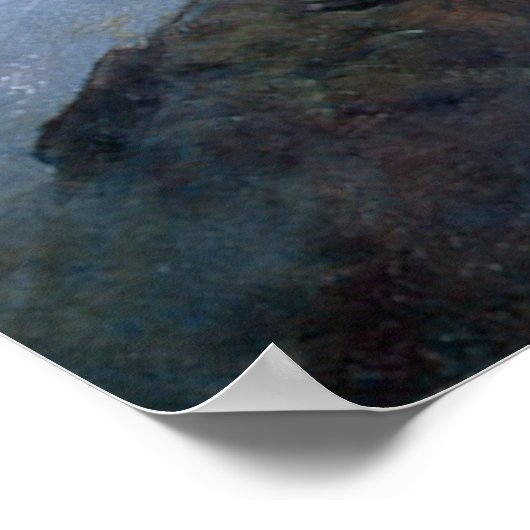 Gen. Stonewall Jackson Poster (Hoek)