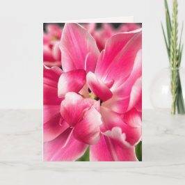 Genade in elk seizoen | Roze Tulp Vouwbare Wenskaa Kaart