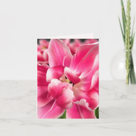 Genade in elk seizoen | Roze Tulp Vouwbare Wenskaa Kaart
