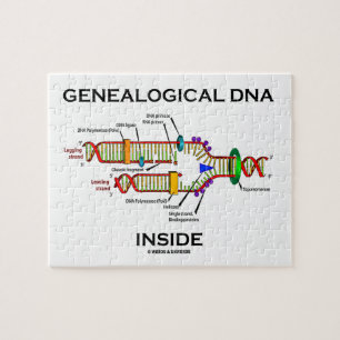 Genalogisch DNA Inside (Genalogist Attitude) Legpuzzel