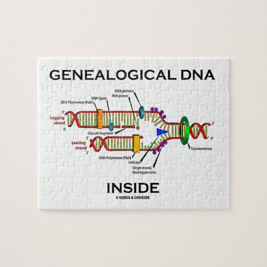 Genalogisch DNA Inside (Genalogist Attitude) Legpuzzel (Horizontaal)