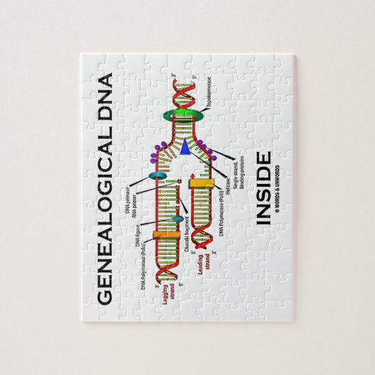 Genalogisch DNA Inside (Genalogist Attitude) Legpuzzel (Verticaal)