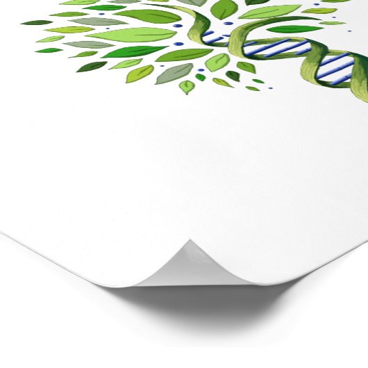 Genalogist Research Zone DNA-boom Poster (Hoek)