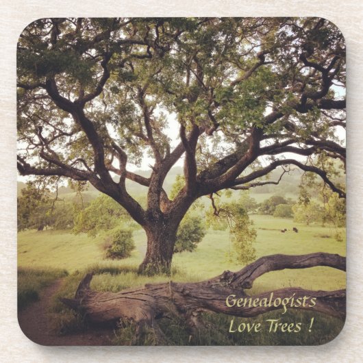 Genalogists Love Trees Onderzetters set-on 6 (Voorkant)