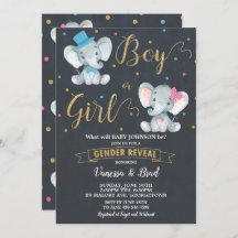 Gender Reveal Elephant Baby Gender Reveal Party