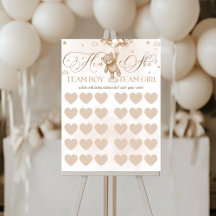 Gender Reveal Geslacht Stemmen Spelbord