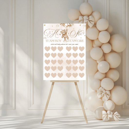 Gender Reveal Geslacht Stemmen Spelbord Poster