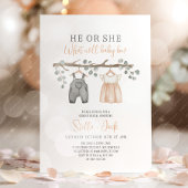 Gender Reveal He or She Clothesline Kaart