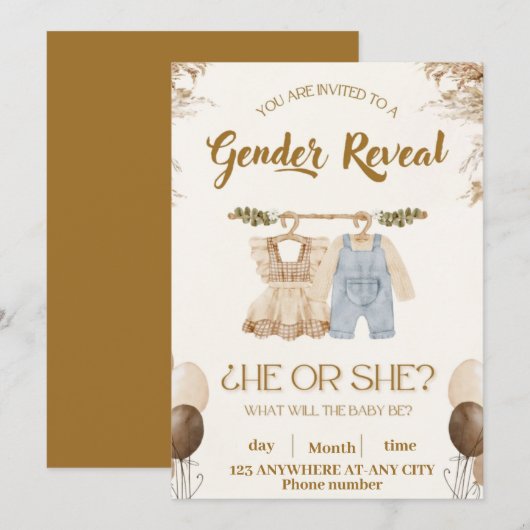 Gender Reveal Party Invitation - "Hij of zij?" Kaart (Voorkant / Achterkant)