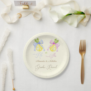 Gender Reveal Pink Blue Bow Lemon Papieren Bordje