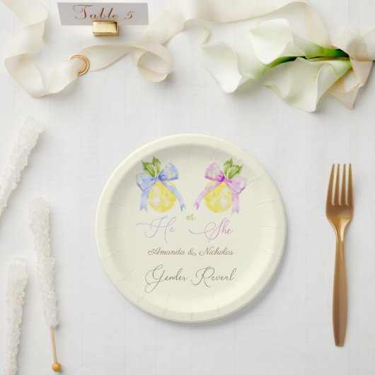 Gender Reveal Pink Blue Bow Lemon Papieren Bordje (Huwelijk)