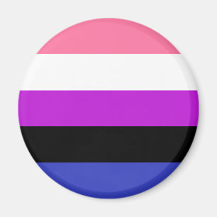Genderfluid Vlag LGBT Magneet