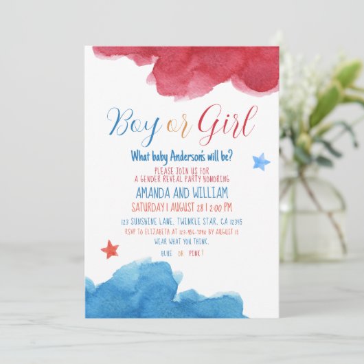 Genderkwesties onthullen Roze en Blauwe Partij Kaart (Staand voorkant)