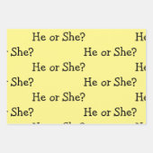 Genderneutraliteit/genderneutraliteit Inpakpapier Vel (Voorkant 2)