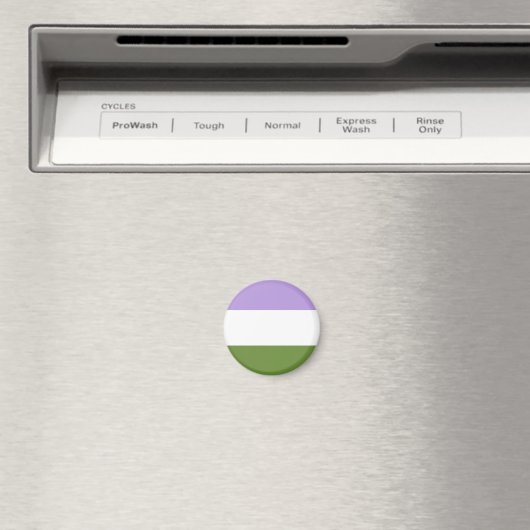 Genderqueer Flag Magnet (Insitu (Vaatwasser))