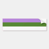 GENDERQUEER PRIDE FLAG BAR BUMPERSTICKER (Voorkant)