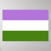 Genderqueer Pride flag Poster (Voorkant)
