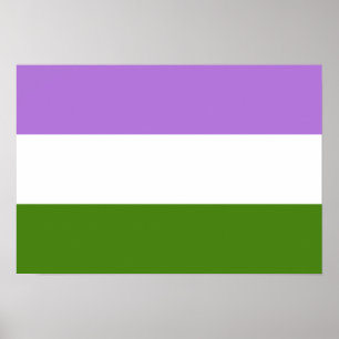 Genderqueer Pride flag Poster