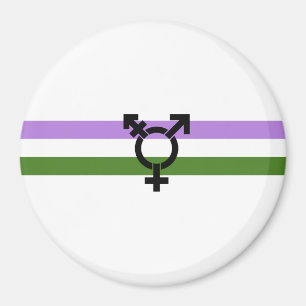 Genderqueer Pride Vlag Magneet