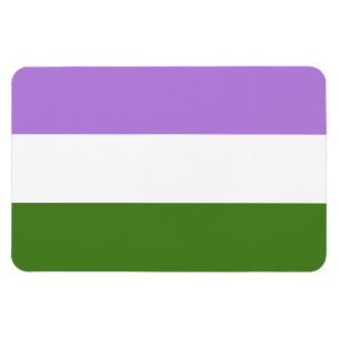 Genderqueer Pride Vlag Magneet