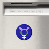 Genderqueer Vlag Trans Symbool Magneet (Insitu (Vaatwasser))