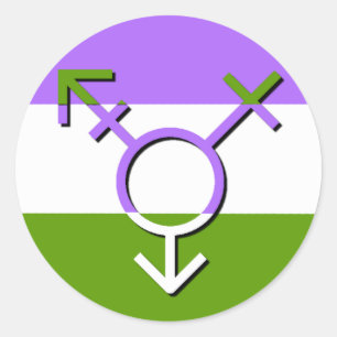 Genderrevolutie LGBTQA Genderqueer niet-Binair Ronde Sticker