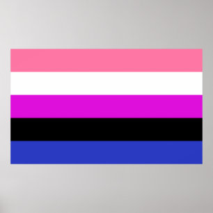 Gendervloeide Pride Flag Poster