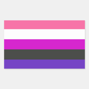 Gendervloeide Pride Flag Rechthoekige Sticker