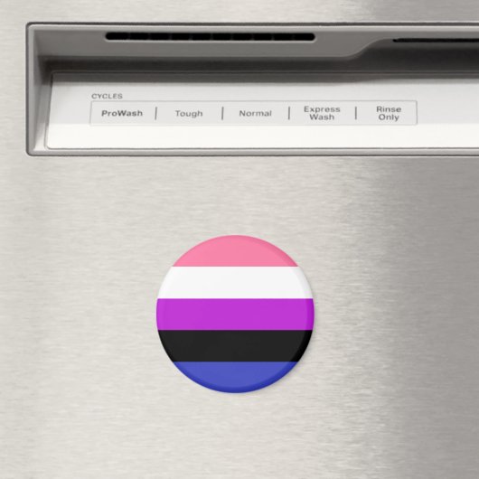GendervloeiFlag LGBT Magnet (Insitu (Vaatwasser))