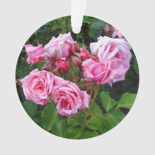 Gene Boerner Roos #3 Ornament