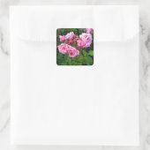 Gene Boerner Roos #3 Stickers (Tas)