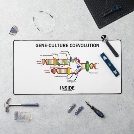 Gene-cultuur-coevolutie in DNA-replicatie Bureaumat (Werkstation)