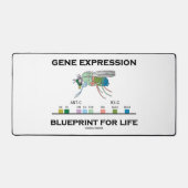 Gene Expression Blueprint for Life Homeobox Genes Bureaumat (Voorkant)