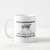 Gene Expression Blueprint for Life Homeobox Genes Koffiemok (Links)