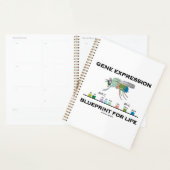 Gene Expression Blueprint for Life Homeobox Genes Planner (Display)