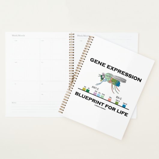 Gene Expression Blueprint for Life Homeobox Genes Planner (Display)