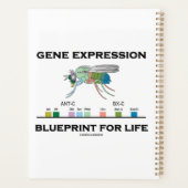 Gene Expression Blueprint for Life Homeobox Genes Planner (Achterkant)