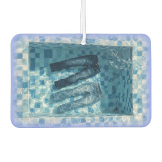 GENE POOL LUCHTVERFRISSER