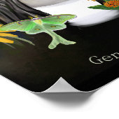 Gene Stratton Porter Portrait Digital Painting Poster (Hoek)